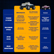 FMS 1:10 Ford F-100 Monster Truck Brushless RS