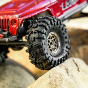 LGRP SWAMP KING M/T 1.0