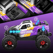 UDIRC RAGESHARK UD1611 1/16 4WD Brushed RTR RC Monster Truck (Blue)